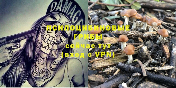 марки lsd Верхний Тагил