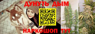 шишки Донской