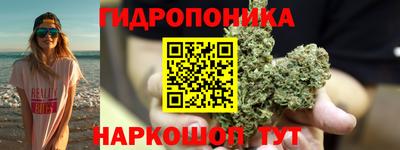 шишки Донской