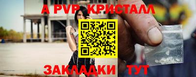 шишки Донской