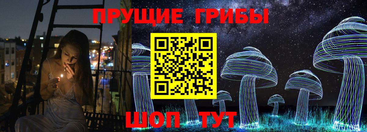 Галлюциногенные грибы Psilocybine cubensis Камышин