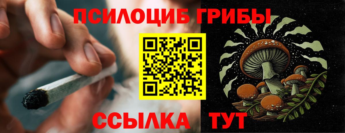 НБОМе Камышин