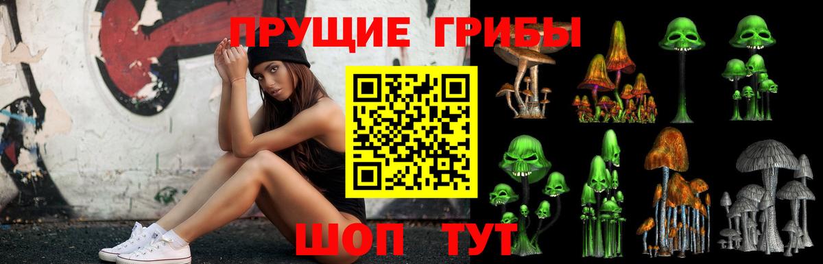 Галлюциногенные грибы MAGIC MUSHROOMS  Вход с VPN  продажа наркотиков  Камышин 